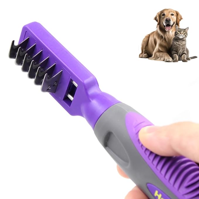 The Ultimate Guide to At-Home Dog Grooming: Tools, Techniques &amp; Tips