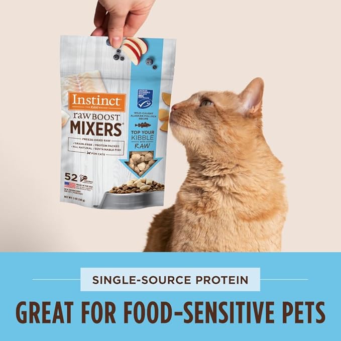 How to Pick the Right Cat Food for Age, Diet, and Sensitivities