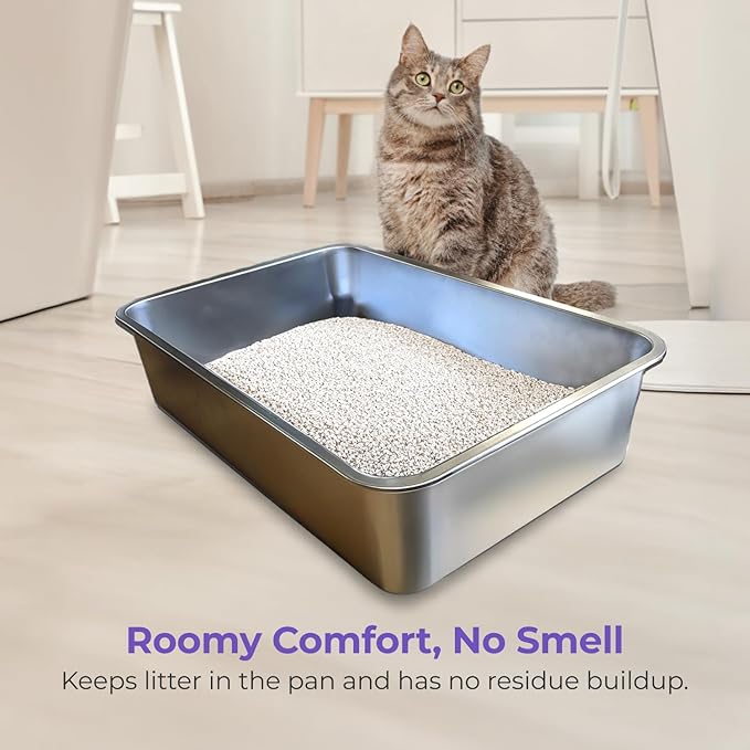 Complete Guide to Choosing Cat Litter and Improving Litter Habits