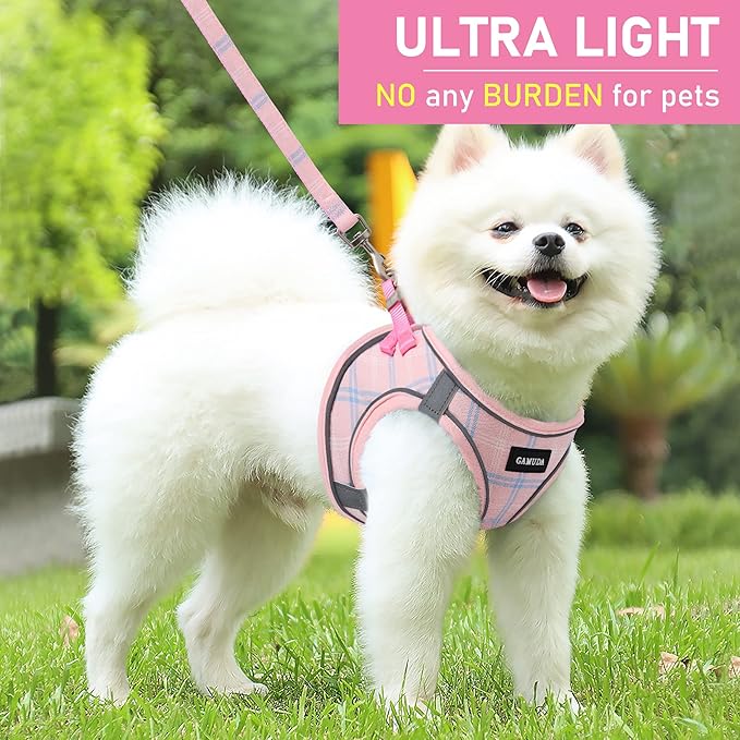 Choosing the Right Leash or Harness for Your Dog’s Walking Style