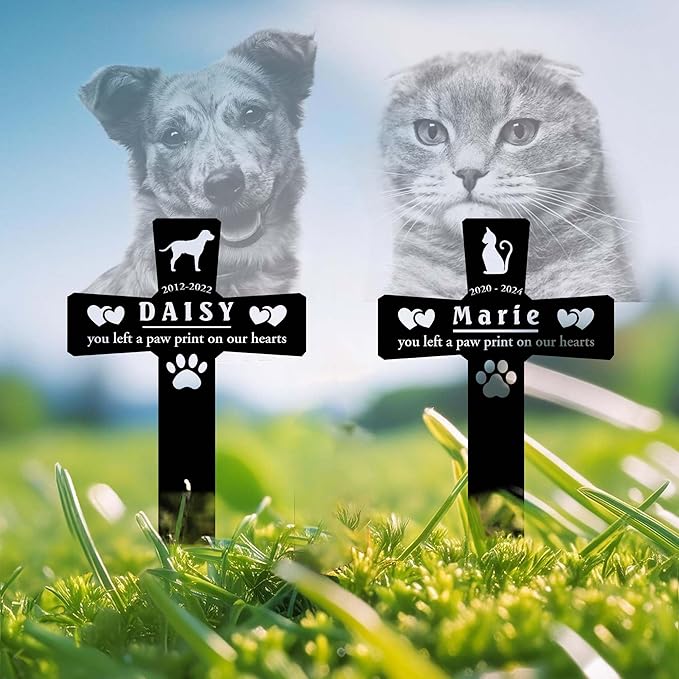 Meaningful Ways to Honor and Remember Your Dog