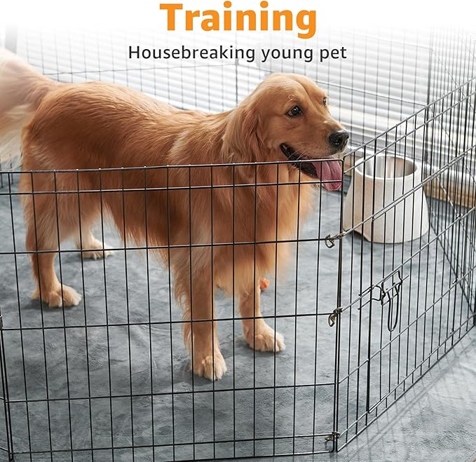 The Complete Guide to Dog Housebreaking: Training for a Clean &amp; Confident Pup
