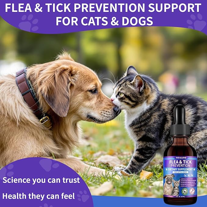 Complete Flea &amp; Tick Prevention Guide for Dogs