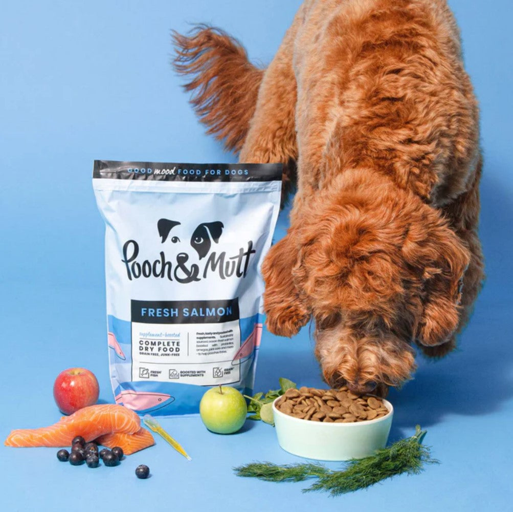 Dry Dog Food