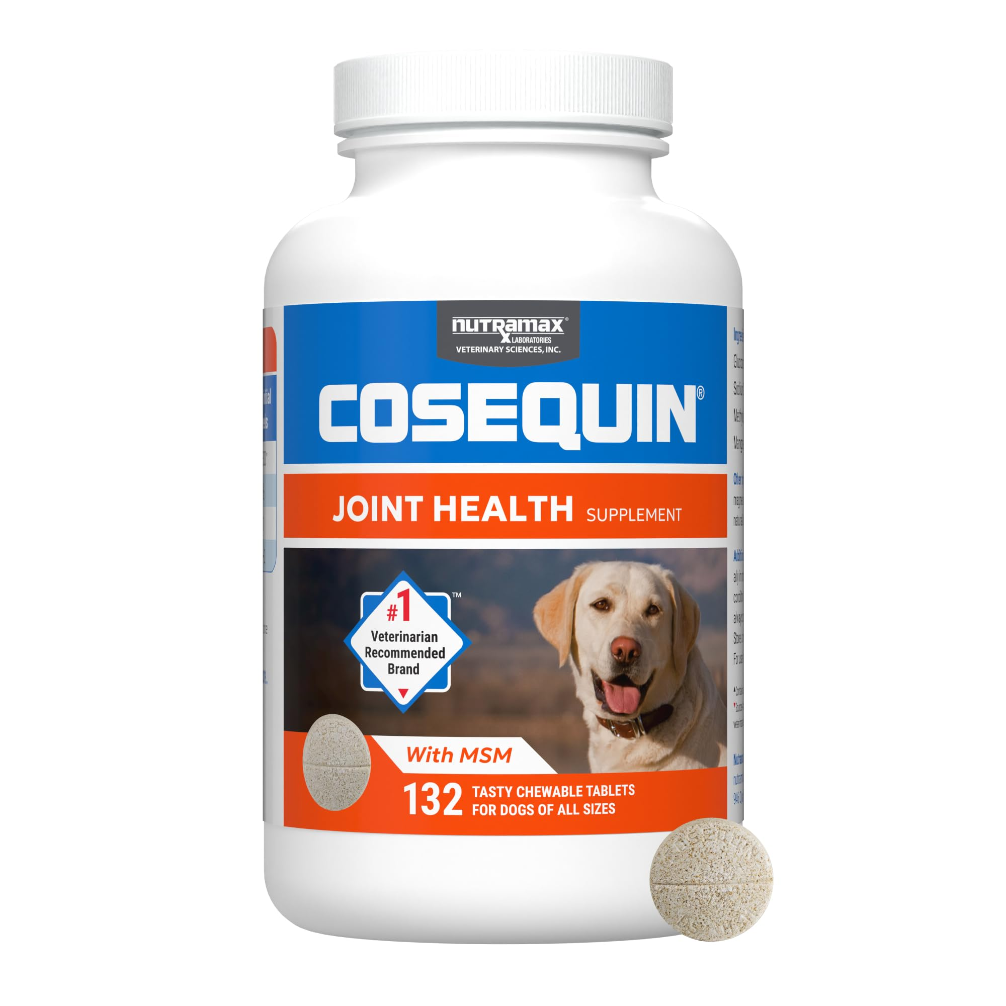 Joint Support