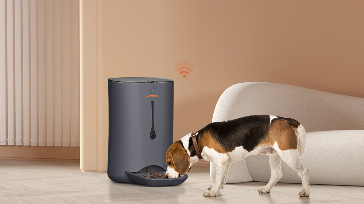 Smart Feeders