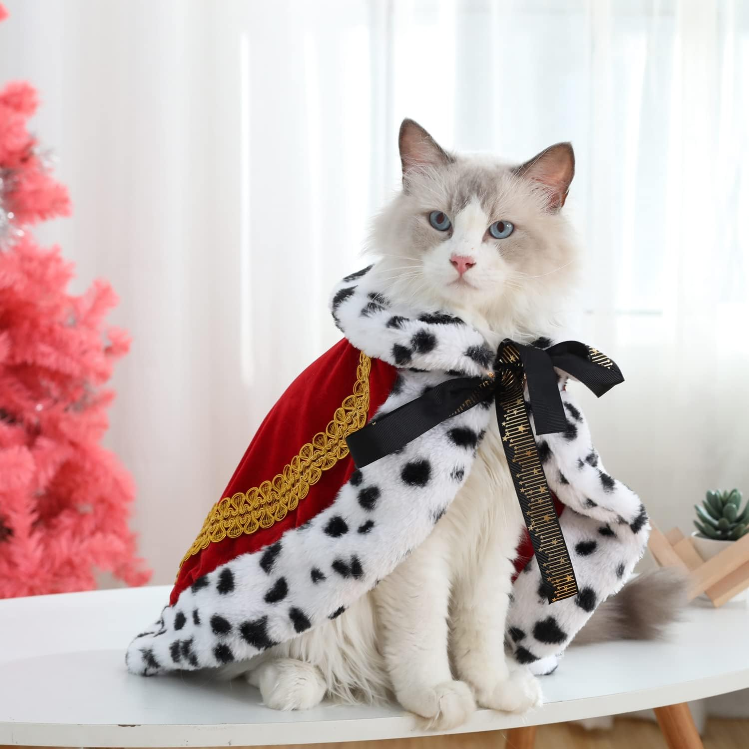 Cat Costumes