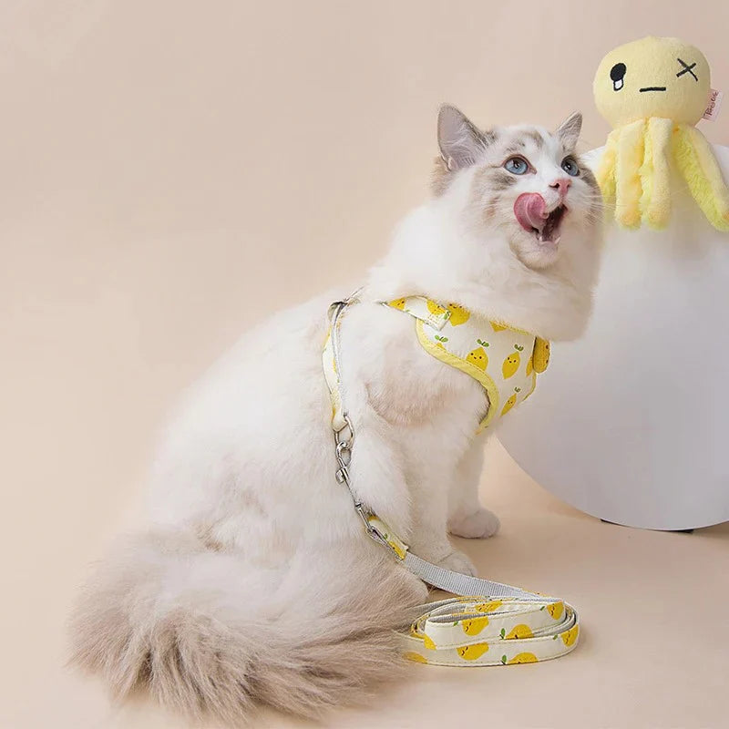 Cat Collars, Harnesses & Leashes