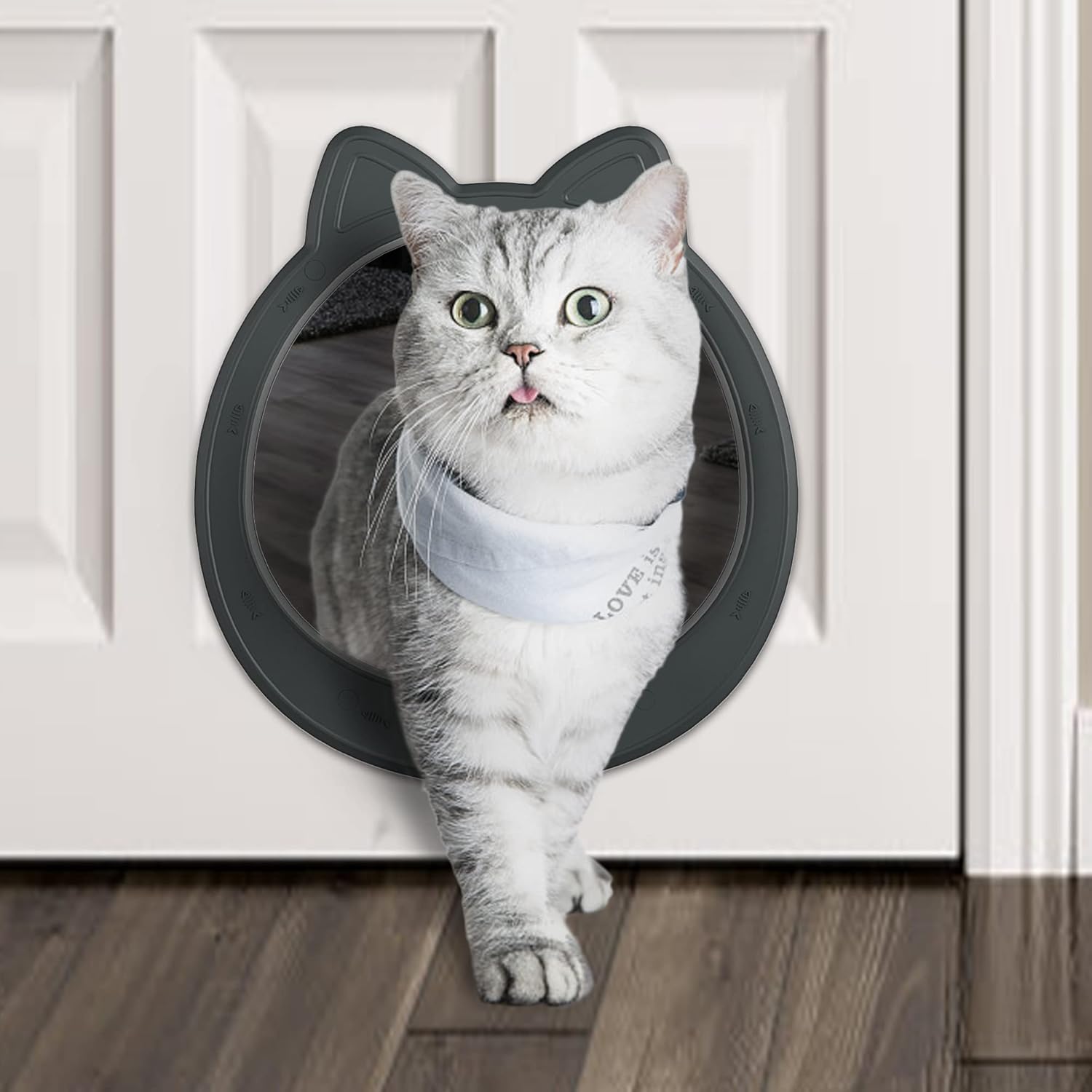 Cat Doors, Steps, Nets & Pens