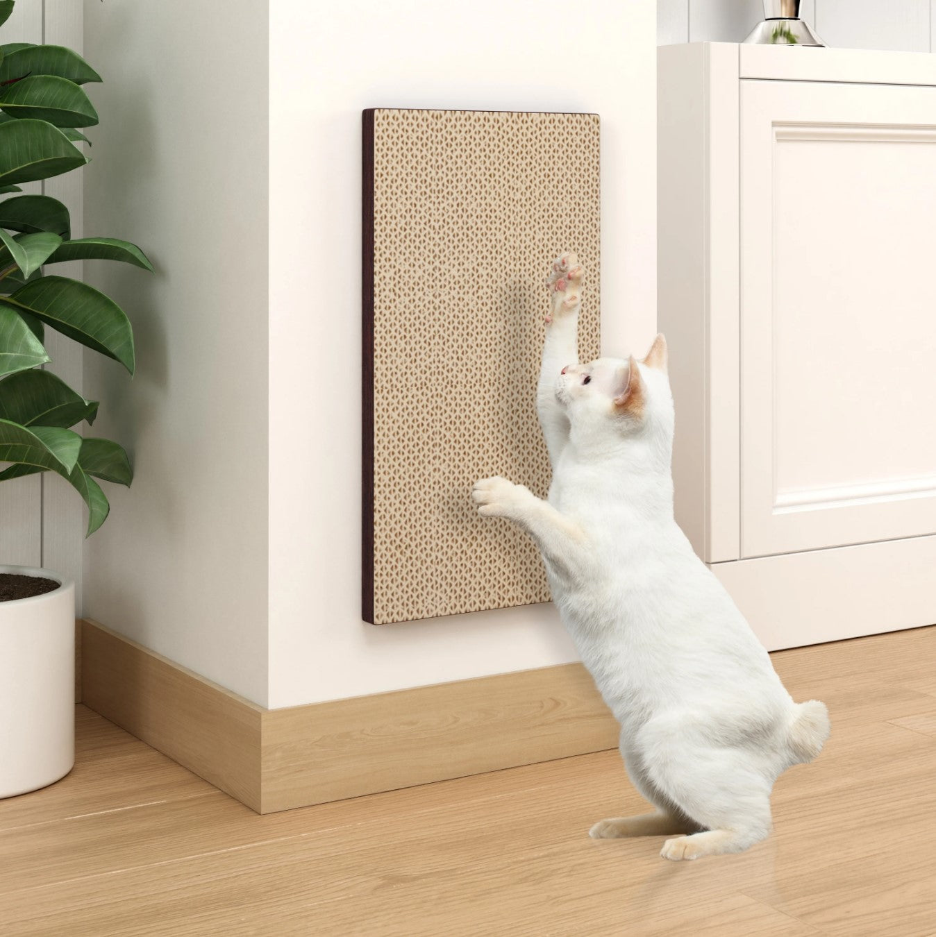 Cat Scratchers