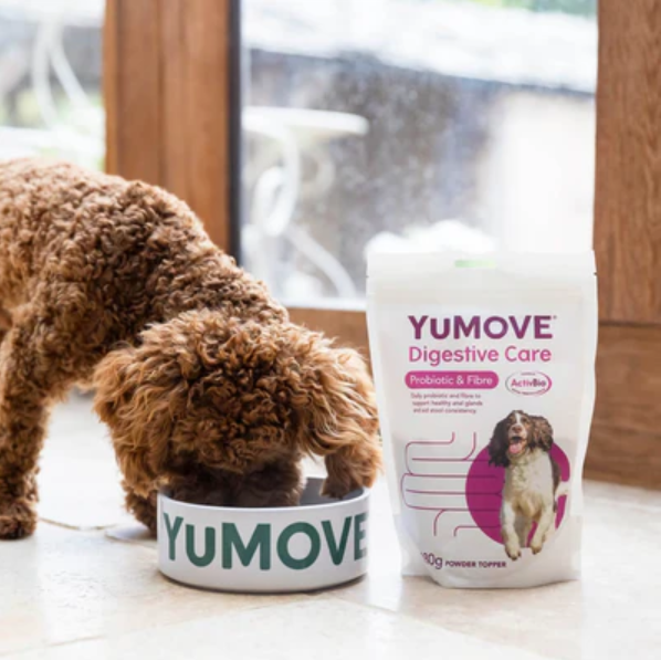 Digestive Enzymes