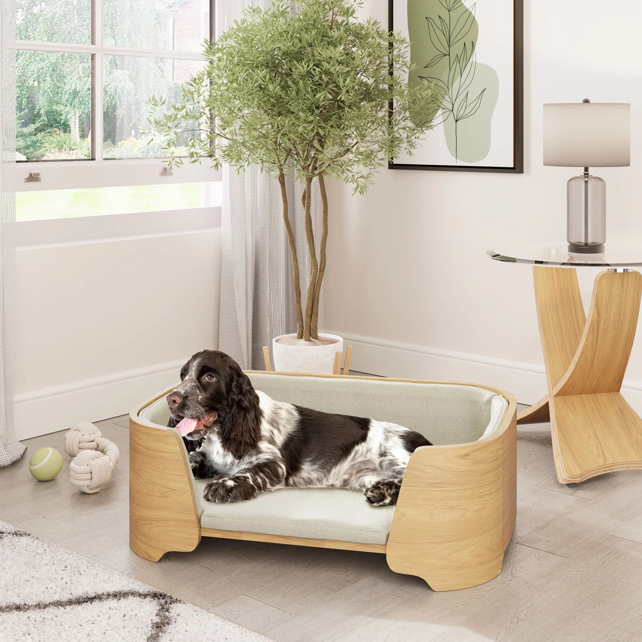 Dog Beds & Furniture
