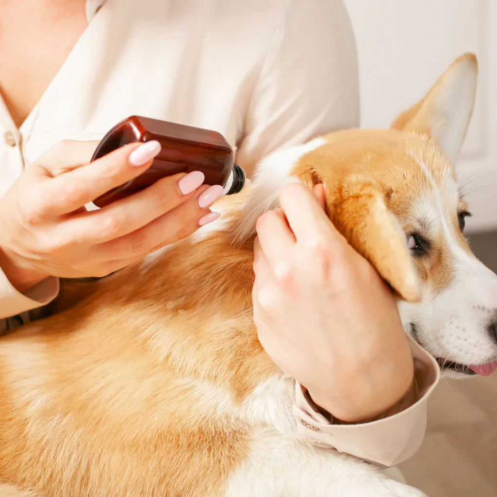 Dog Flea & Tick Control
