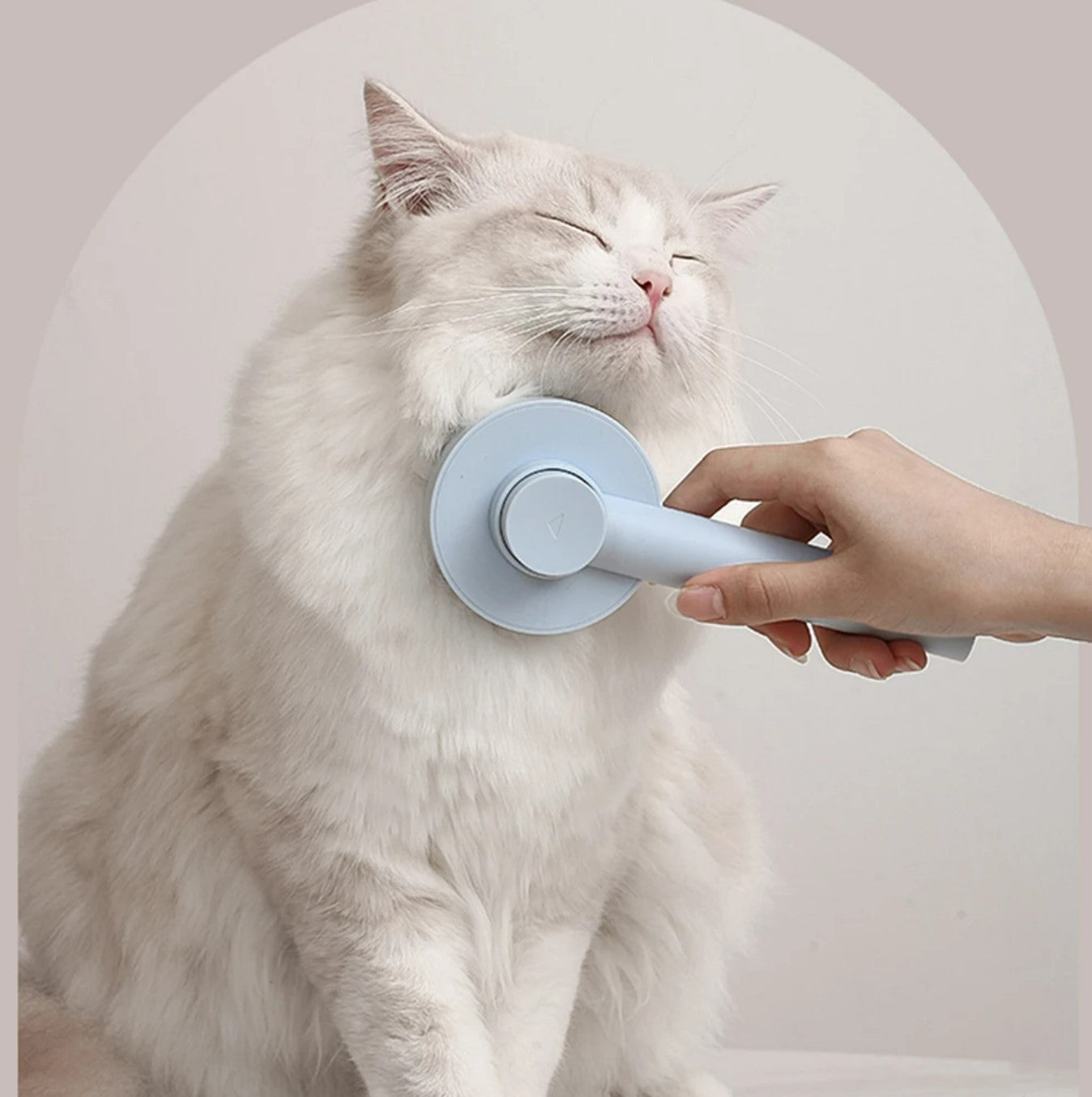 Pet Grooming Brush