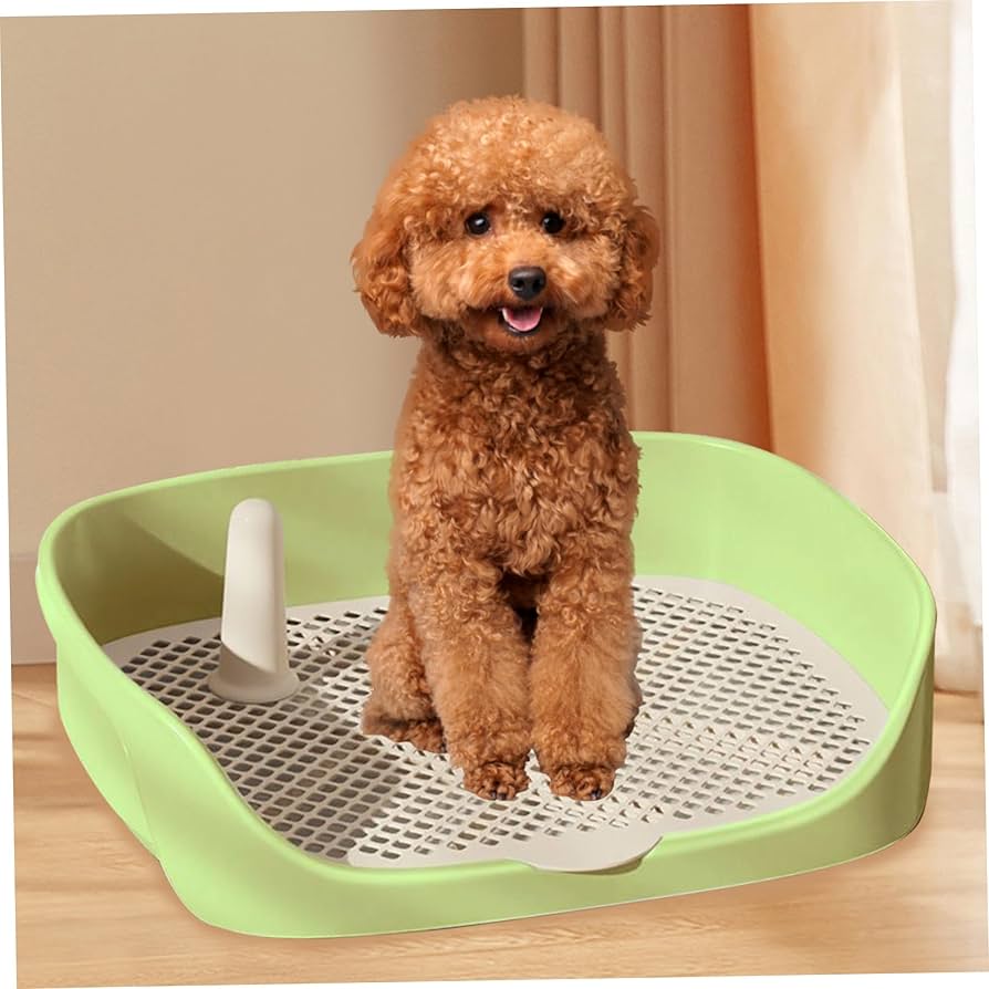 Dog Litter & Housebreaking