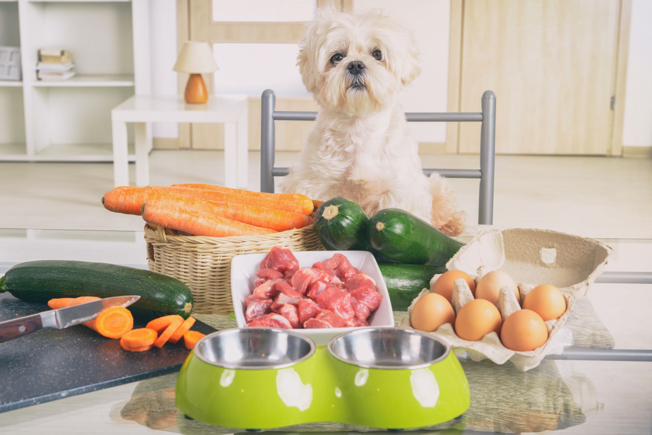 Healthy Pets, Happy Life