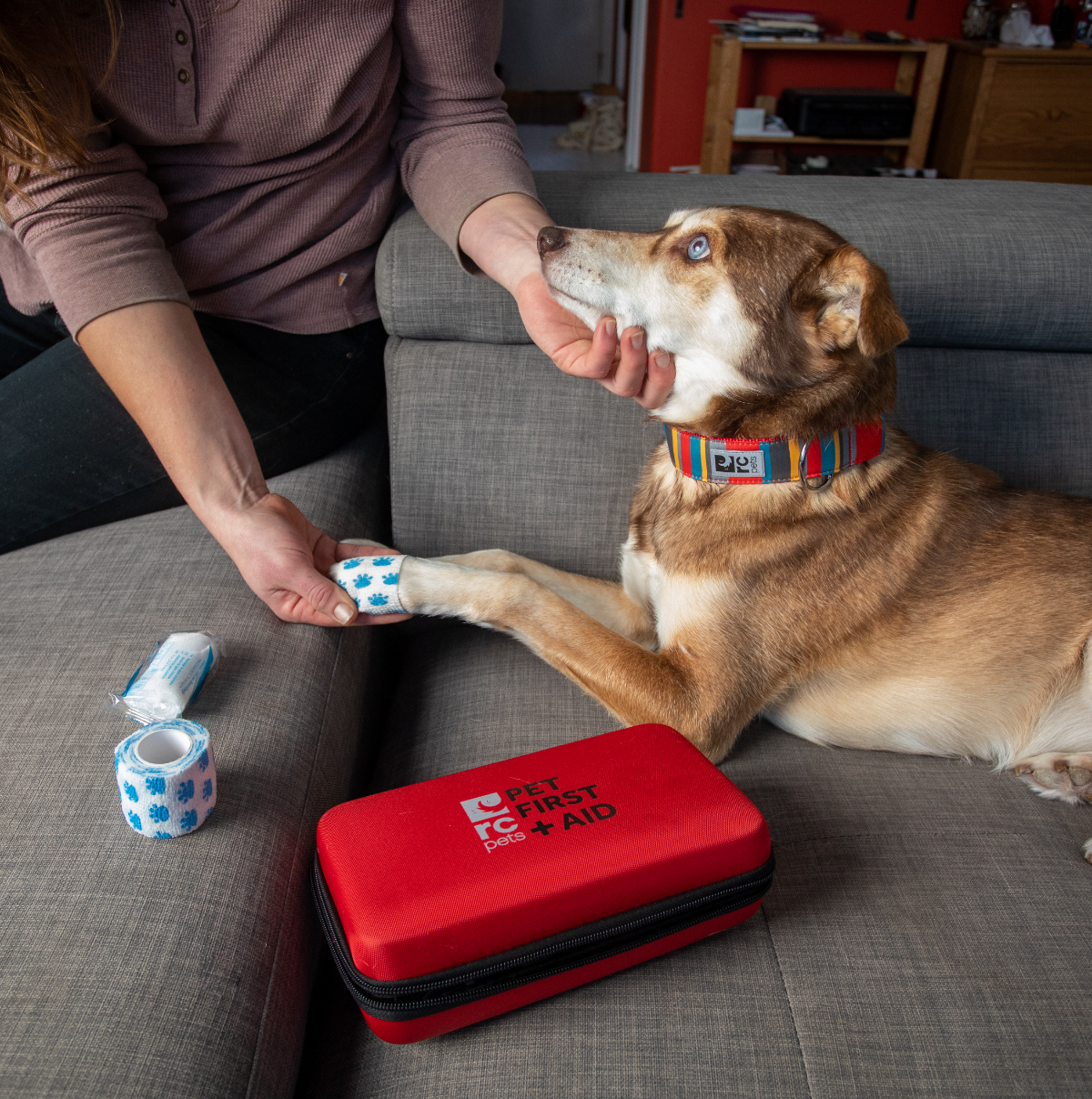 Pet First Aid Kit