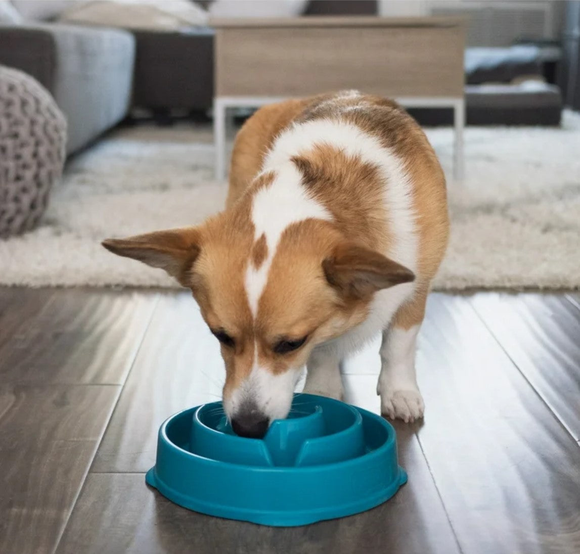 Puzzle Feeders