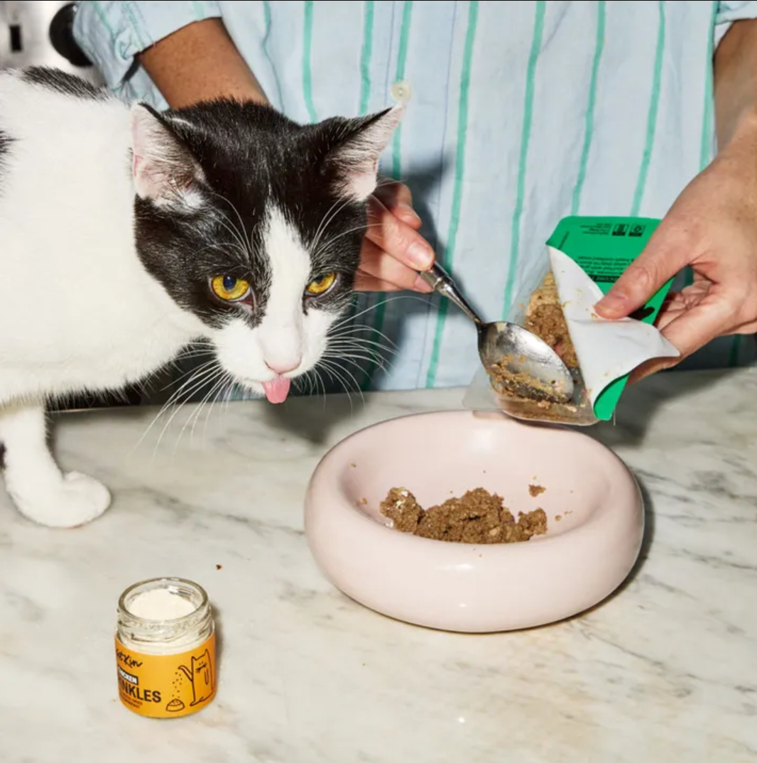 Senior Cat Food