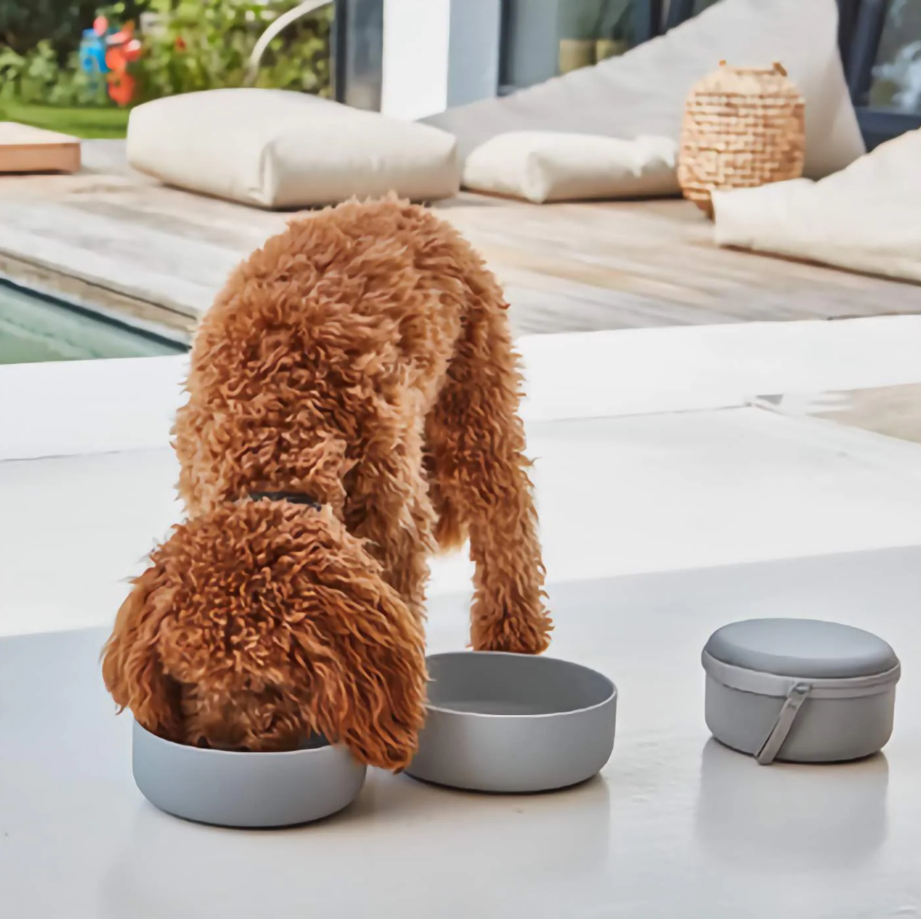 Feed Bowls