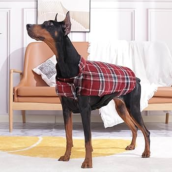 Pet Winter Jackets