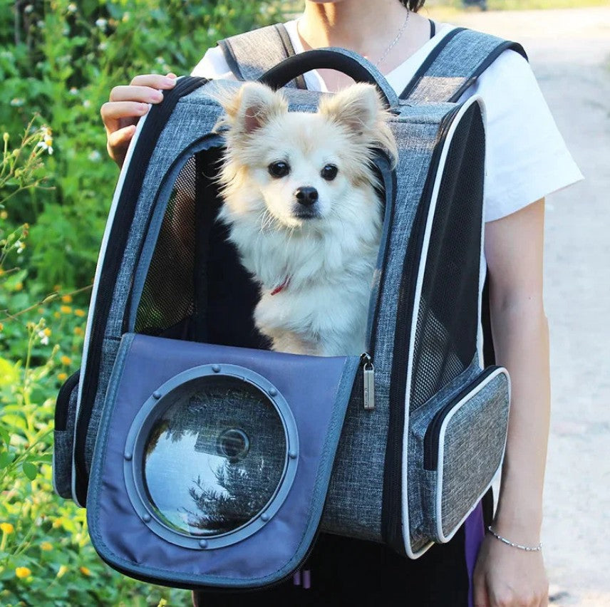 Backpack Carriers