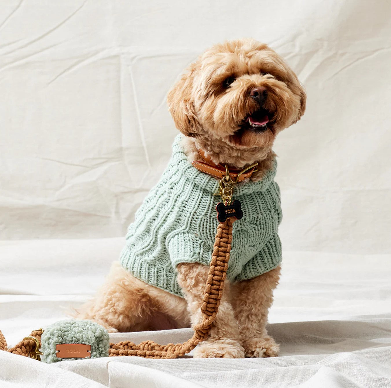 Dog Sweaters
