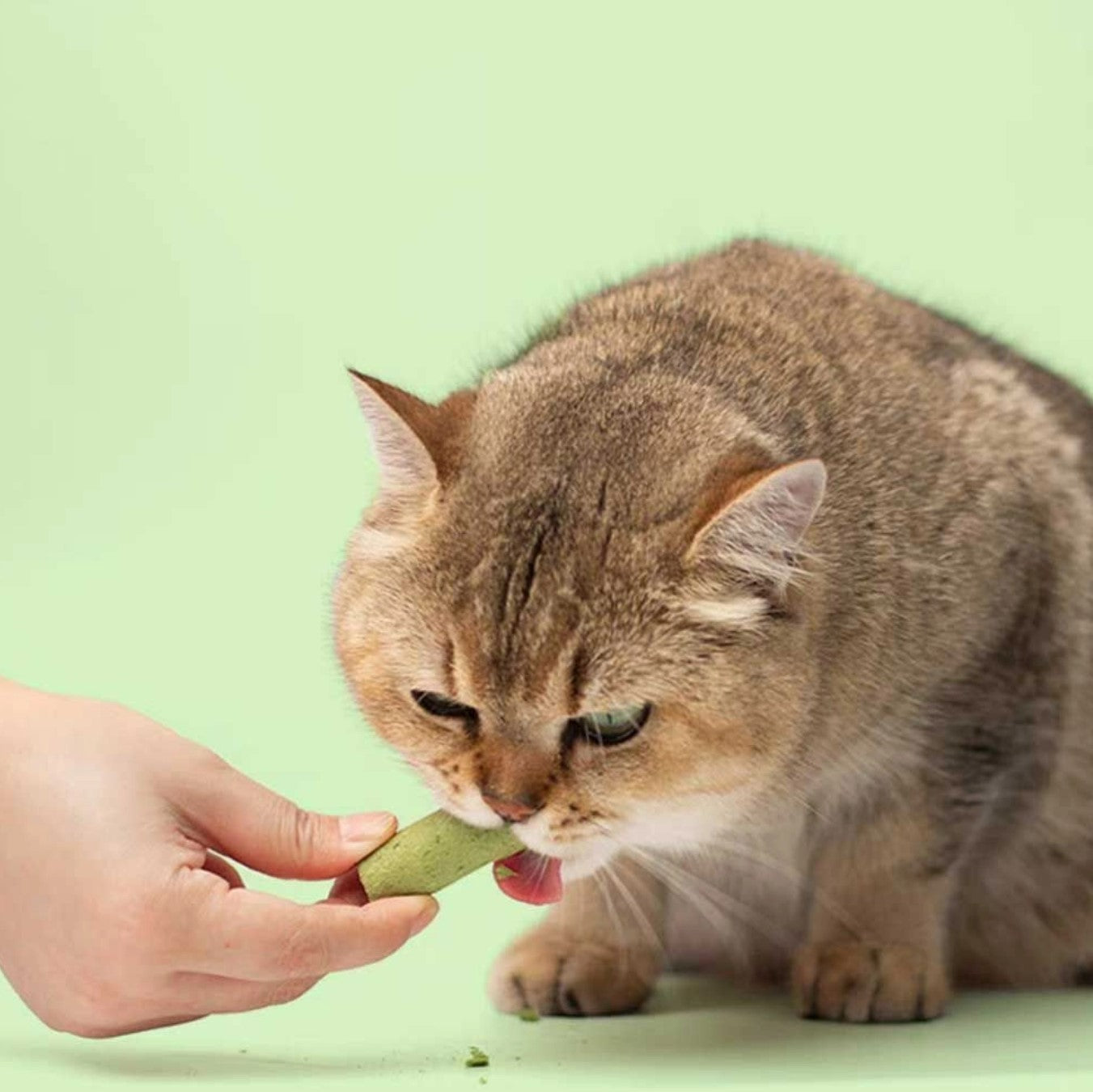 Hairball Control Cat Snacks