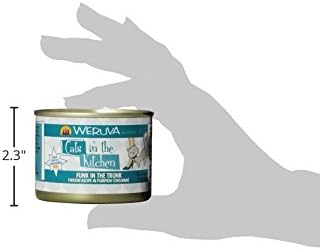 Weruva Cats in The Kitchen, Funk in The Trunk with Chicken in Pumpkin Consomme Cat Food, 6oz Can (Pack of 24)