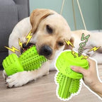 Dog Chew Toys Dog Toothbrush Stick Teeth Cleaning Brush Dental for Small Medium Large Dog, Rubber Squeaky Toys for Aggressive Chewers Cactus Tough Toys