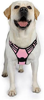 rabbitgoo Dog Harness No Pull with 2 Leash Clips, Adjustable Soft Padded, Reflective Oxford No Choke Pet Vest with Easy Control Handle for Large Dogs, Pink, XL