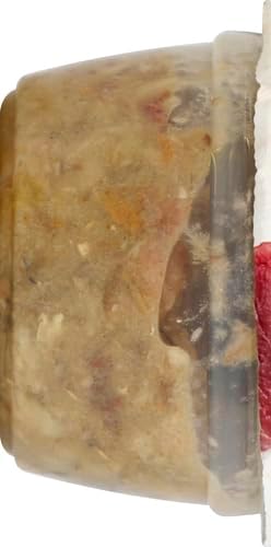 Rachael Ray Nutrish Natural Wet Cat Food, Ocean Fish-A-Licious Recipe, 2.8 Ounce Cup (Pack of 12), Grain Free (6303330281)