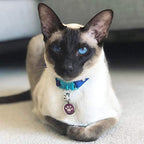 Kittyrama Monte Carlo Cat Collar with Bell. Breakaway Collar. Won't Rub Fur. Lightweight, Soft & Comfy