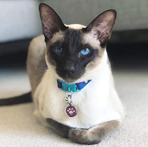 Kittyrama Monte Carlo Cat Collar with Bell. Breakaway Collar. Won't Rub Fur. Lightweight, Soft & Comfy