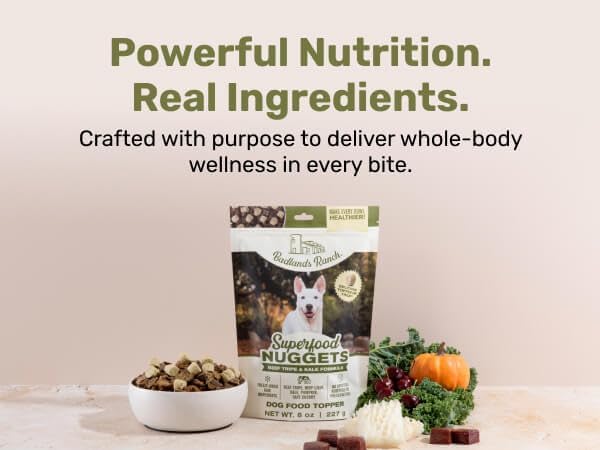 Superfood Nuggets- Premium, Freeze-Dried raw Dog Food Topper or Treat. Powerful Nutrient-Dense Ingredients. No Artificial additives. Beef Tripe and Kale Formula 8oz - 4pk Bundle