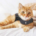 Thundershirt Classic Cat Anxiety Jacket, Heather Gray, Medium (9 to 13 lbs), THU-009