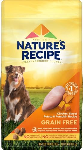 Nature′s Recipe Grain Free Chicken, Sweet Potato & Pumpkin Recipe Dry Dog Food, 4 lb. Bag