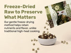 Superfood Nuggets- Premium, Freeze-Dried raw Dog Food Topper or Treat. Powerful Nutrient-Dense Ingredients. No Artificial additives. Beef Tripe and Kale Formula 8oz - 4pk Bundle