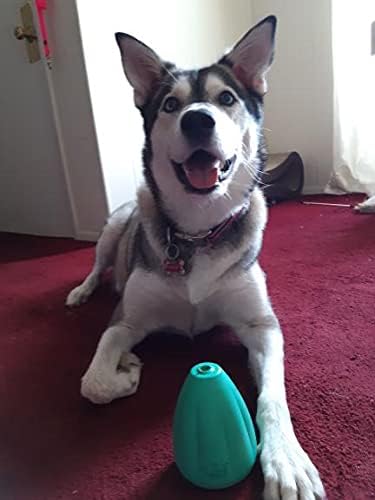 Chew King by Mammoth Premium Treat Dog Toy, Medium, Extremely Durable Natural Rubber Toy, Pack of 2