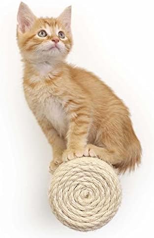 Catastrophic Creations Floating Cat Scratching Post, Hand-Crafted Sisal Cat Scratcher Post, Wall Cat Shelves & Scratching Posts for Indoor Cats, Durable & Modern Cat Furniture (1 Pc)