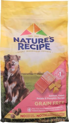 Nature′s Recipe Grain Free Salmon, Sweet Potato & Pumpkin Recipe Dry Dog Food, 4 lb. Bag (Pack of 2)