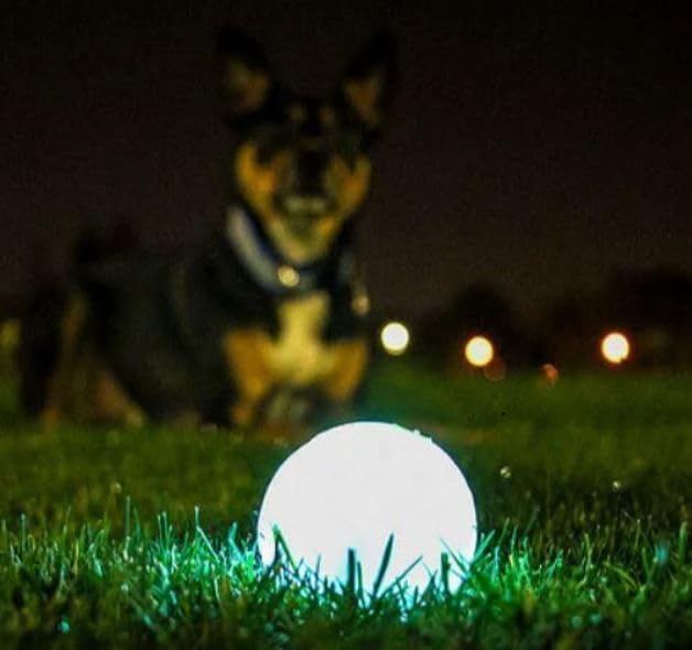 Chuckit! Glow in the Dark Bouncy Balls - Ball for Dogs, Chuckit Dog Toy, Max Glow Balls - Medium, 2.5 Inch Pack of 2