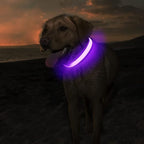 MASBRILL Light Up Dog Collar - LED Dog Collar Rechargeable Waterproof Night Walking Glow Collar for Dogs (M, Purple)
