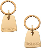 Solid Brass PET TAG - Modern, Minimal Pet IDs. Durable, Lifetime Tags with deep Cut Text. Includes Space for Two Phone Numbers. (Bell)