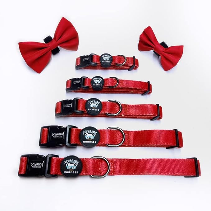 Joyride Harness Dog Collar with Removable Bowtie - Adjustable and Breathable for All Dog Breeds, Strong D-Ring and Heavy Duty Buckle, for Pet Lovers