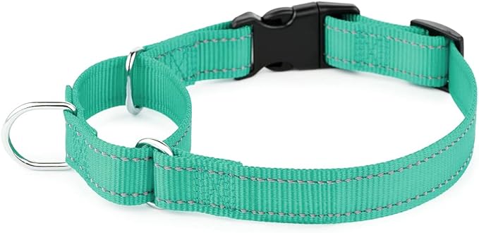 Plutus Pet Reflective Martingale Collar with Buckle - Durable and Adjustable Training Collar for No Pulling, Dog Choker Collar for Small Medium Large Dogs, Teal, S