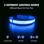 MASBRILL LED Dog Collar-Light Up Dog Collars Rechargeable Lighted Dog Collar Night Walking Glow Collar for Dogs