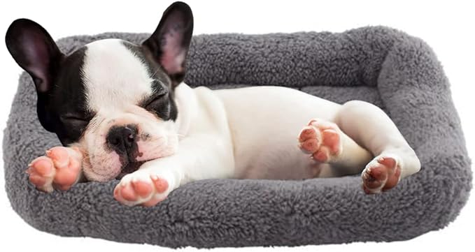 PETLESO Cat Bed Plush Cats Cushion, Cat Bed for Indoor Cats Fluffy Pet Mat for Cat Small Dog Curl Sleep for Crate Carrier, Medium 22" x 16"