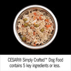 Cesar Simply Crafted Adult Wet Dog Food Meal Topper, Variety Pack, 1.3 oz Tubs (24 Count, Pack of 1)