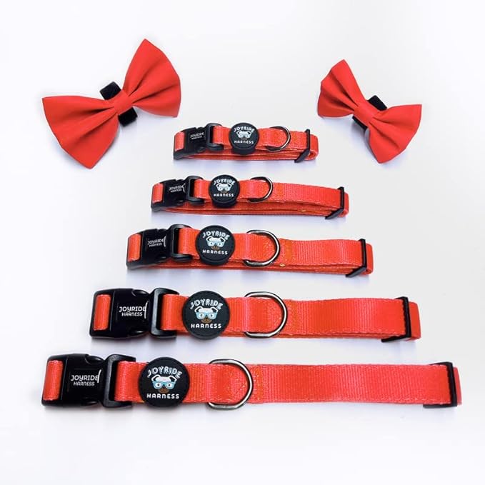 Joyride Harness Dog Collar with Removable Bowtie - Adjustable and Breathable for All Dog Breeds, Strong D-Ring and Heavy Duty Buckle, for Pet Lovers